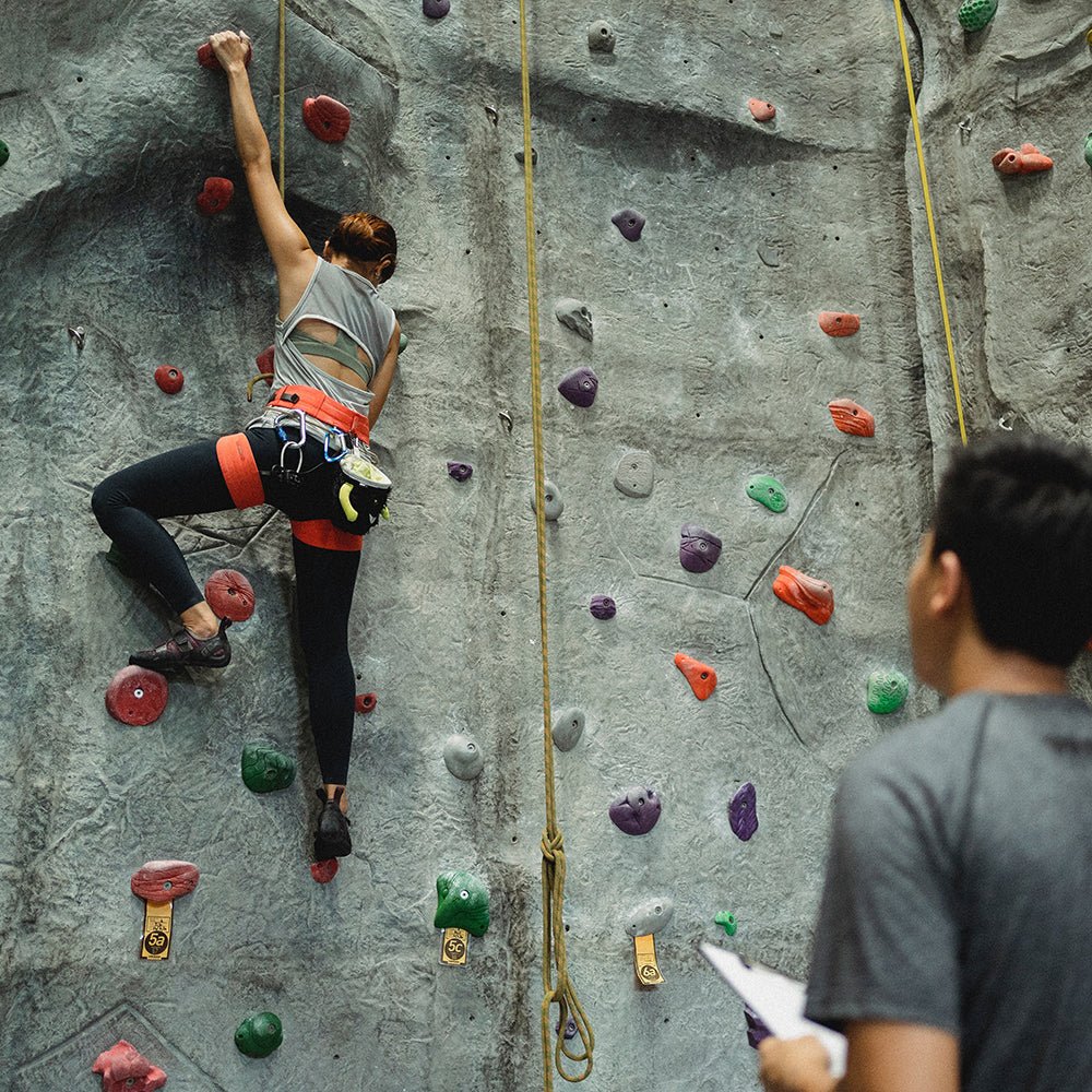 couple climbing wall harness ropes indoor colours red purple blue green