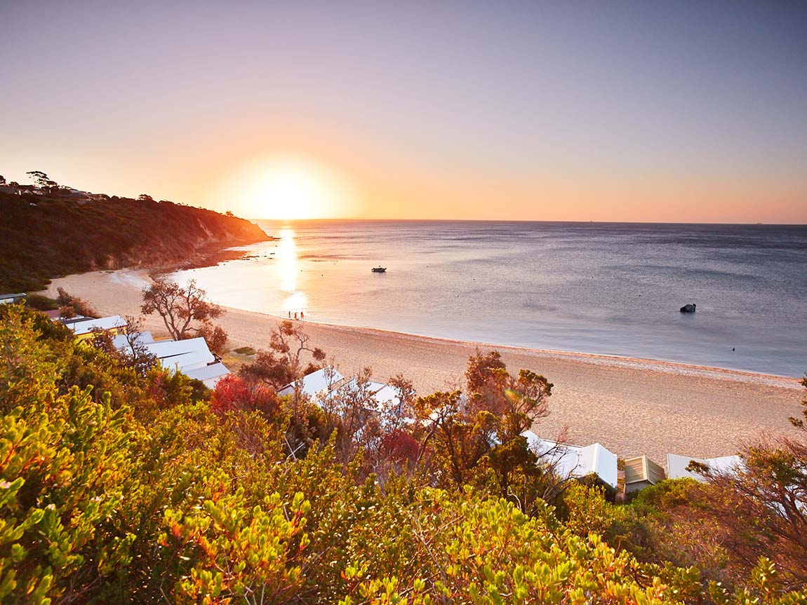 sunset beach water ocean sand gold trees light green leaves