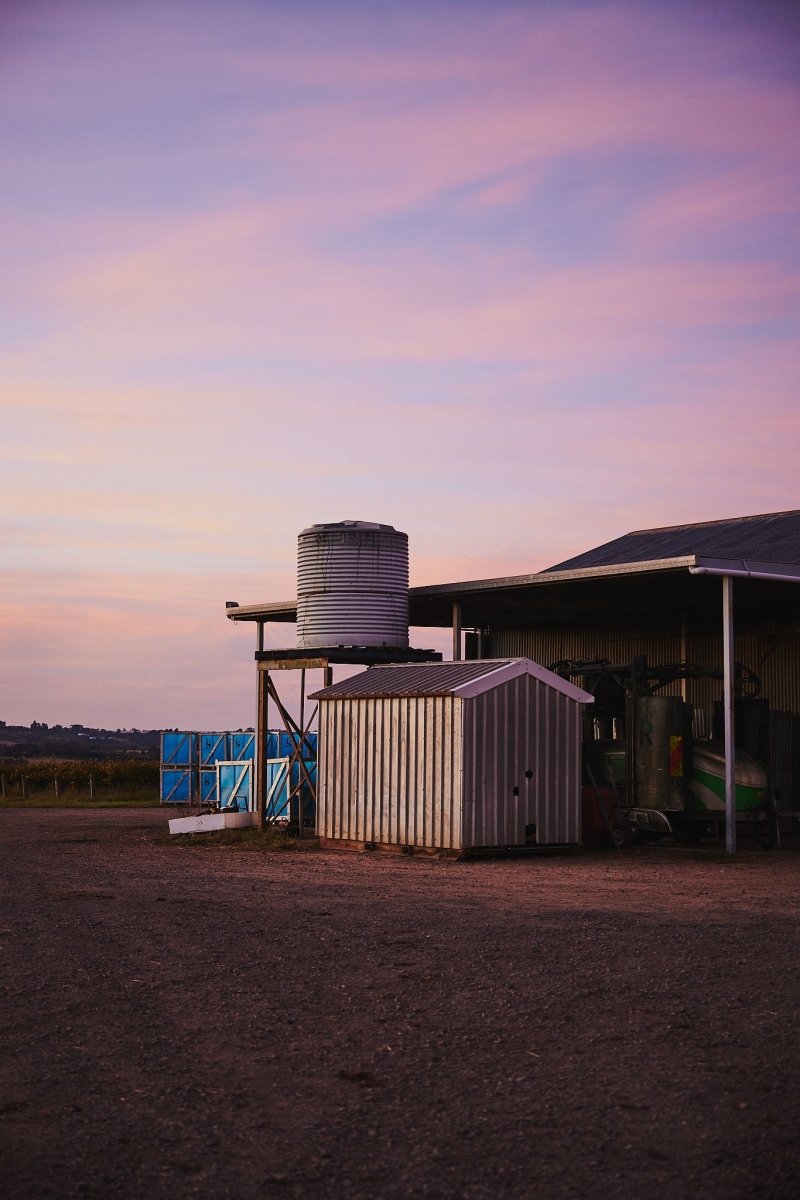 sunset sky pink blue shadows dusk tin shed farm dirt road